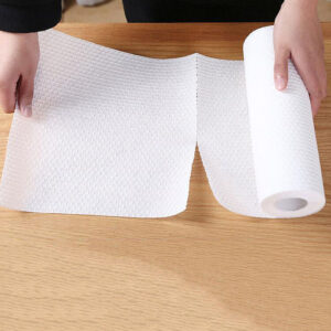 25PCS Reusable Lazy Rag Nonwoven Towels Kitchen Dish Cloth Paper - China  Reusable Lazy Rag and Nonwoven Towels price