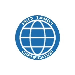 ISO 14001 environmental management system certification — Riway Group